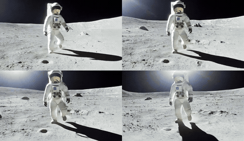 MultiLive: synchronized multi-view video generation &mdash; animated results